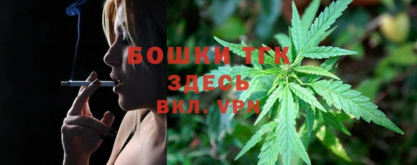 не бодяженный Арсеньев