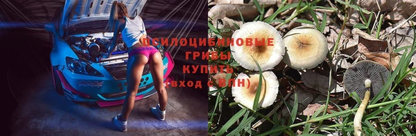 не бодяженный Арсеньев