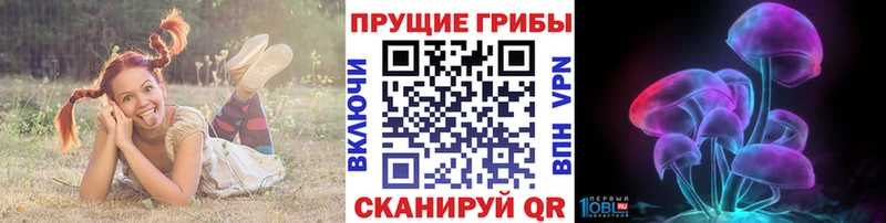 kraken ссылки  Верещагино  Галлюциногенные грибы Cubensis 