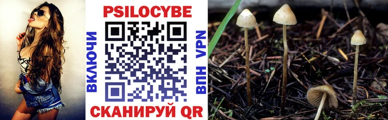 Псилоцибиновые грибы Cubensis Верещагино